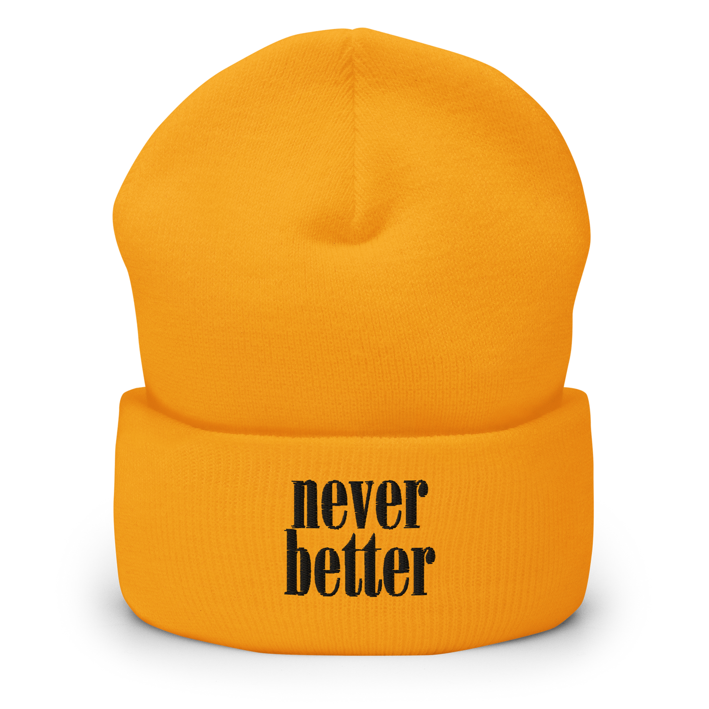 Never Better Beanie